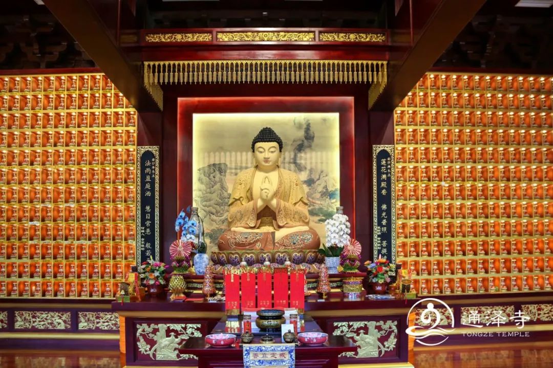 通泽9.jpg